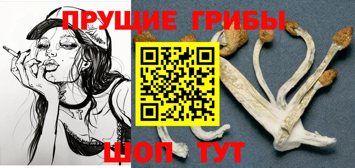Галлюциногенные грибы Psilocybine cubensis  Галлюциногенные грибы Psilocybine cubensis  Тамбов  Вход с VPN 